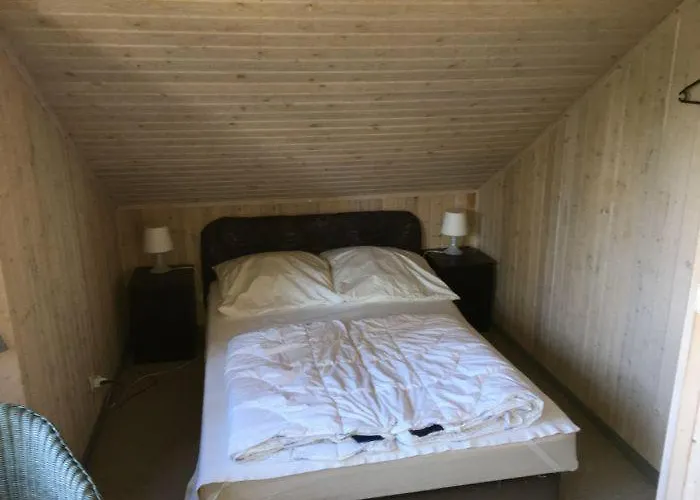 Wildgans 123 מירו